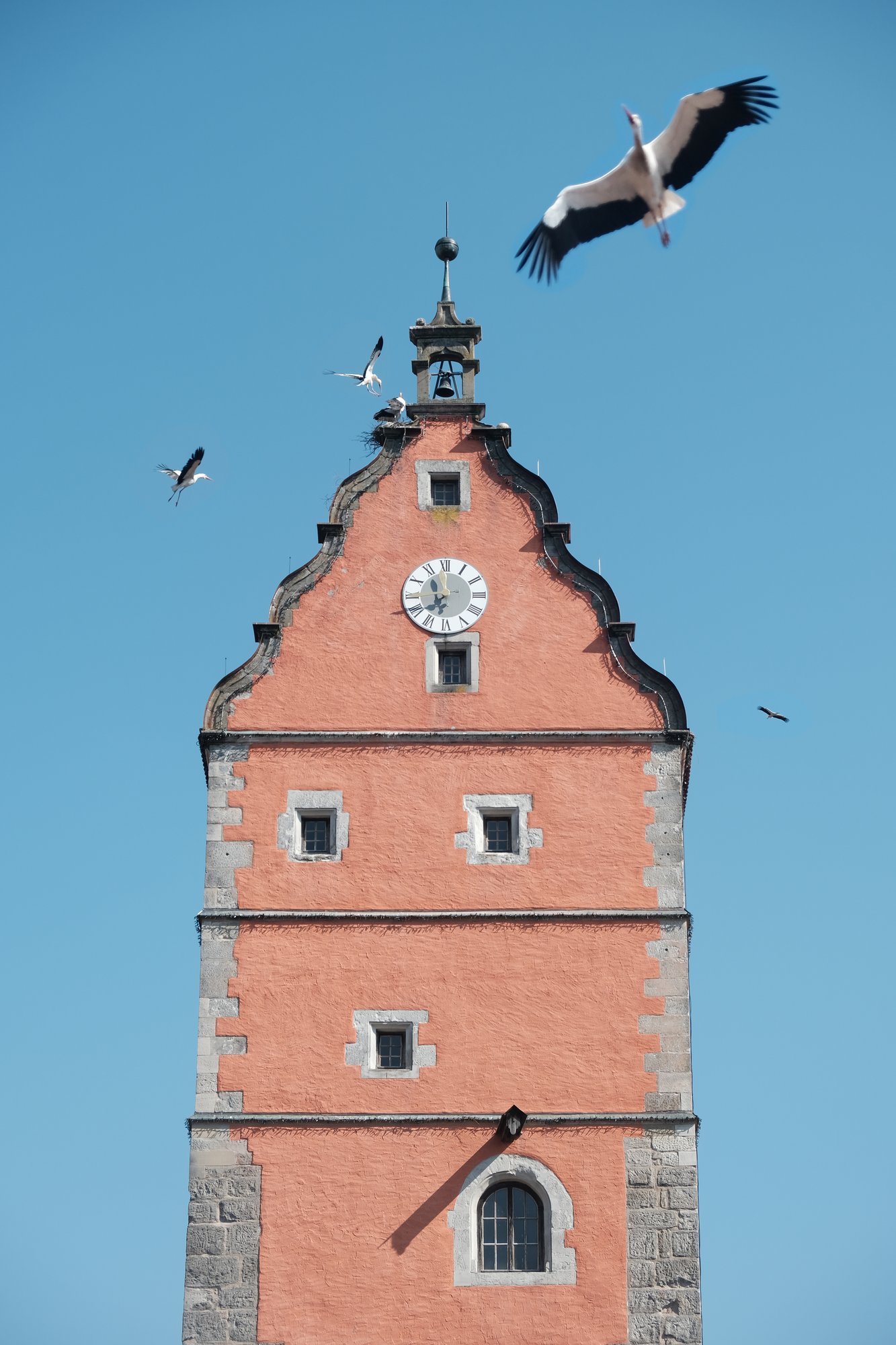The late-medieval Wörnitz gate tower in Dinkelsbühl, Germany, with storks nesting at its peak and flying overhead against a blue sky
